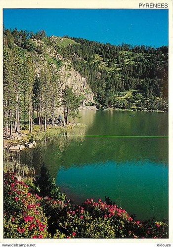 Carte postale - postale, 66