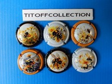 la série de 6 capsules