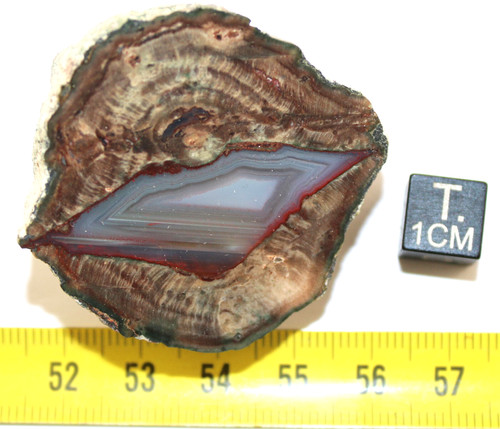 Lithophyse massif de - massif,