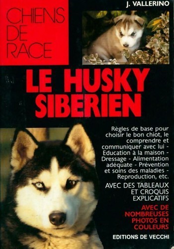 Husky sibérien j - le,