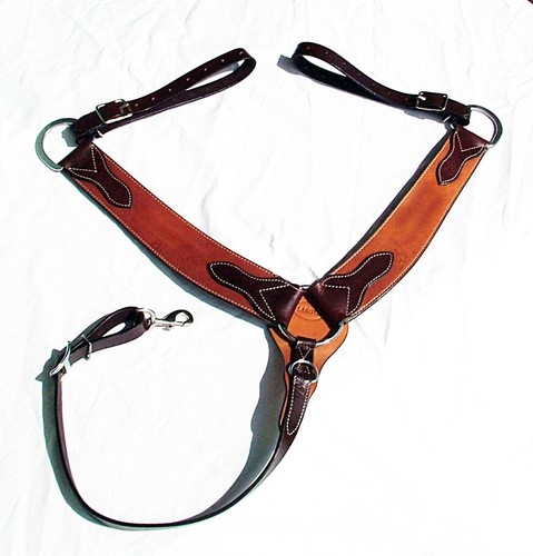 Pectorale selle américain - pectorale,
