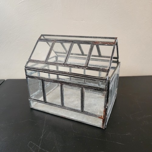 Glass terrarium for plants - glass,