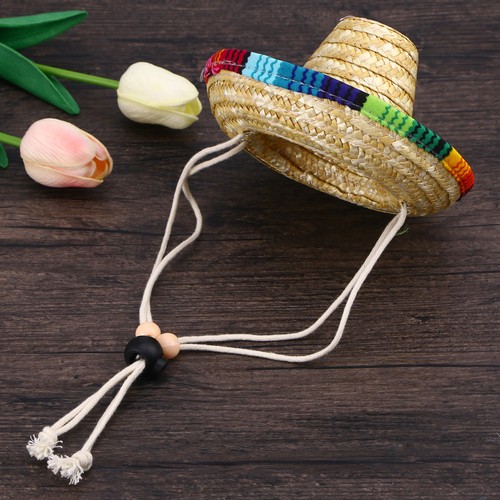 Chien sombrero chapeau drôle - chien,