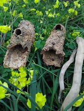 Duo de tube en écorce de