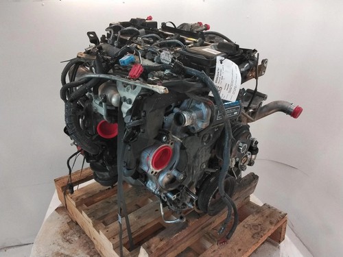 Nissan patrol y61 zd30ddt - nissan,