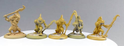 Warhammer hordes lizard - warhammer, hordes,