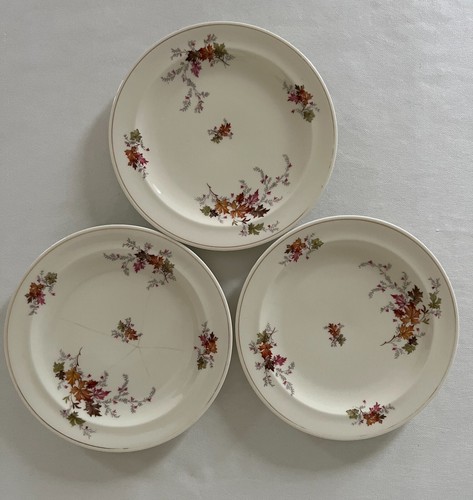 Vaisselle raynaud limoges - vaisselle,