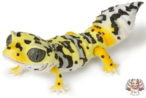 Mini figurine reptile leopard - mini,