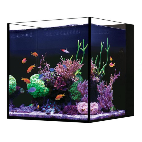 Gallon desktop cube - 18.5,