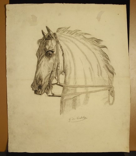 Carheil horse head large - g, de
