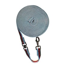 Entraînement à la longe pour