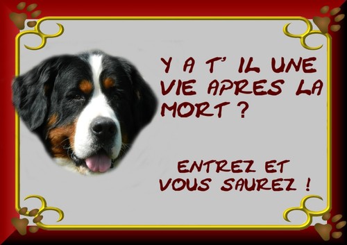 Plaque garde bouvier - garde,