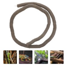 Vigne Pour Terrarium À