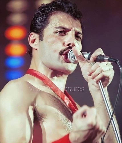 Freddie mercury queen singer - mercury,