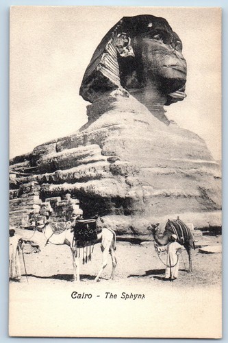 Egypt postcard arab and camel - egypt,