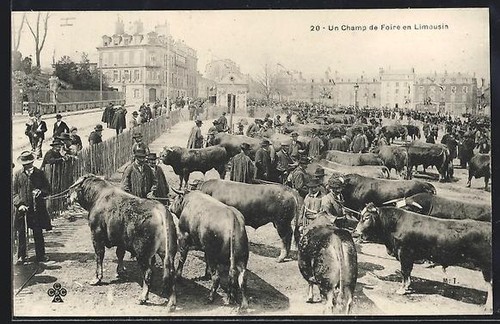 Cpa limoges champ - limoges,, foire