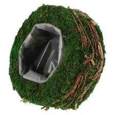 Pot De Fleurs Succulentes