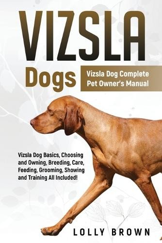 Lolly brown vizsla dogs - lolly,