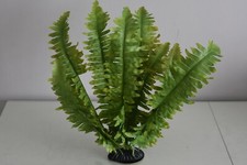 Terrarium Vivarium Large