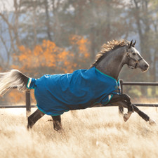 Horseware Rhino Original