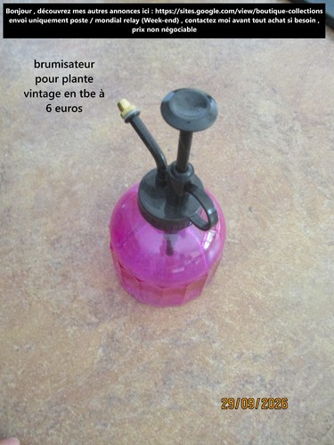 Brumisateur pour plantes - pour,