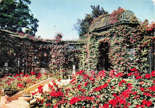 Hay les roses la roseraie - l,