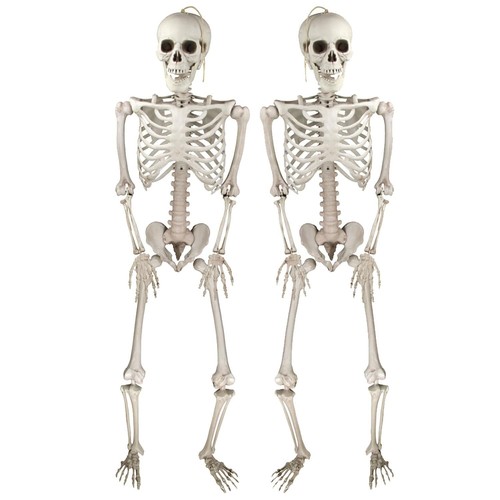 Deco halloween squelettes - deco,