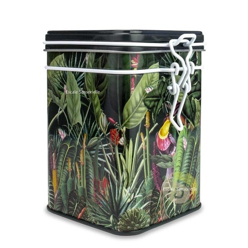 Boite thé rainforest dark - à,