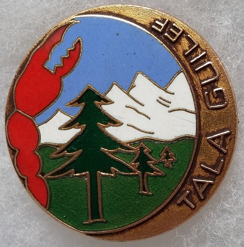 Insigne commando afn algérie - commando,