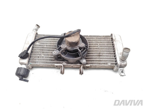 Aprilia radiateur moteur - rs,