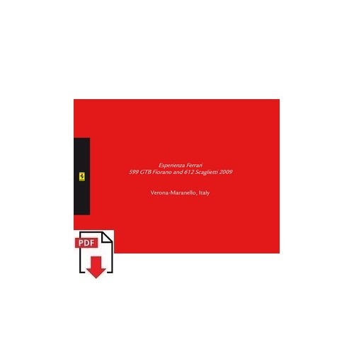 Esperienza ferrari 2009 - esperienza,