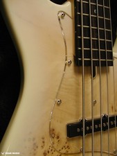 Basse électrique Bacchus