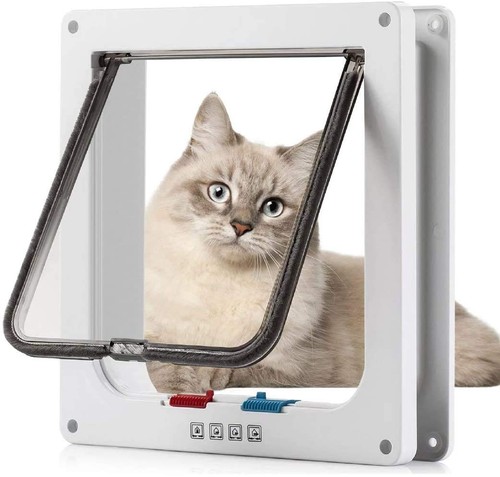 Chatière pour chat - chat,