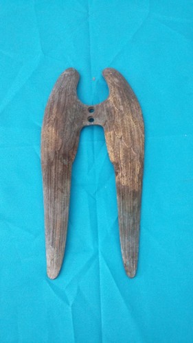 Rare paire ailes bronze - rare, dore