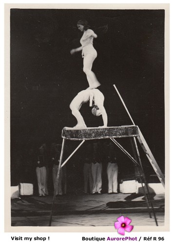 Cirque hiver bouglione - d'hiver,