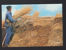 COTTAGE ROOF, WORKER at work in 1990 / Francis DEBAISIEUX No. 172b