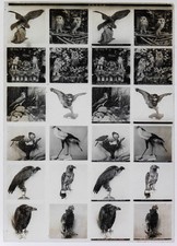 Educa.97.Stereo.Histoire.Les