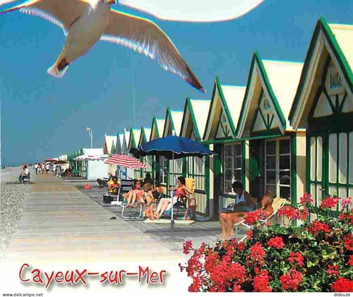 Carte postale cayeux - -,