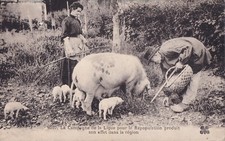 Carte postale ancienne