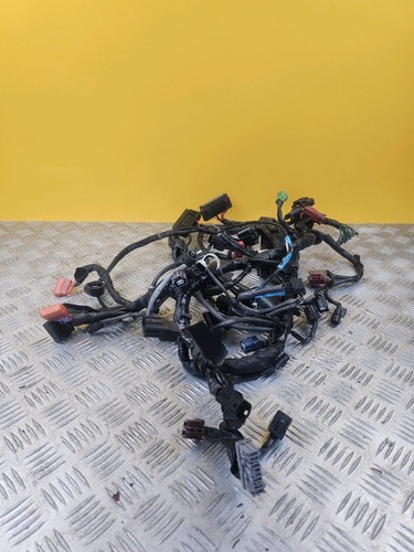 Faisceau électrique pour