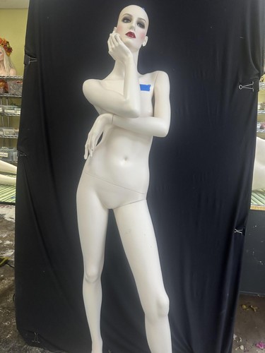 Used adel rootstein female - used,