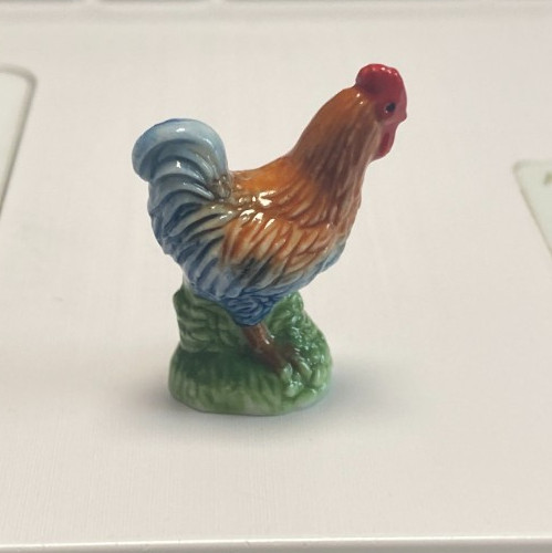 Feve coq marans - marans,