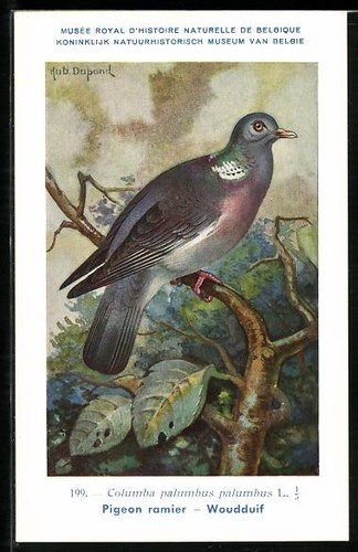Carte postale artiste - carte, hubert