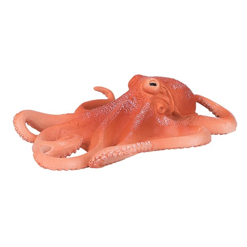 Mojo octopus sealife animal - mojo,