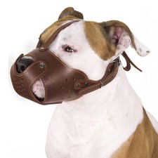 Muselière pour Chien Pitbull