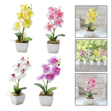 Plante artificielle réaliste simulée fleur 5 têtes Phalaenopsis pour expositi