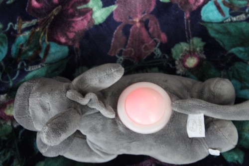 Doudou noukies ane gris - noukies,