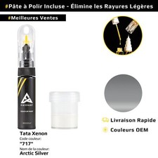 Peinture de retouche pour Tata Xenon Code: 717 Arctic Silver