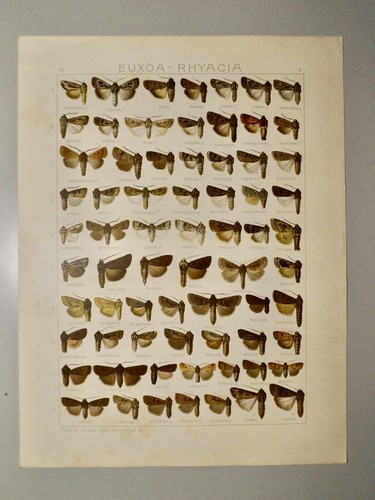 Chromolithographie originale - chromolithographie,