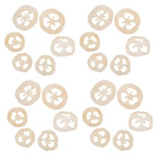 40 Pcs Jouet À Mâcher Pour